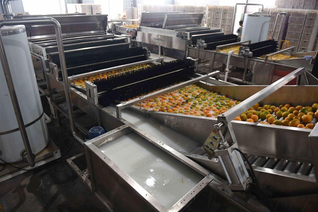 柑橘深加工设备-果酒饮料生产线设备